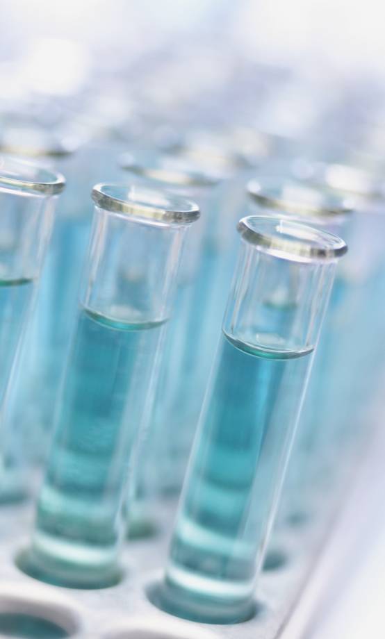 Nutrição e Genética